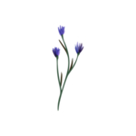 森系花枝