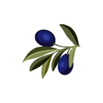 森系花枝