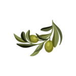 森系花枝
