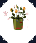 绿色家庭植物
