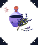 绿色家庭植物