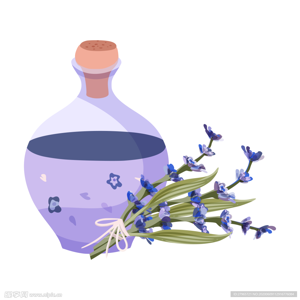 绿色家庭植物