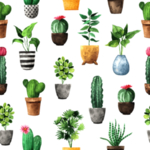 绿色家庭植物