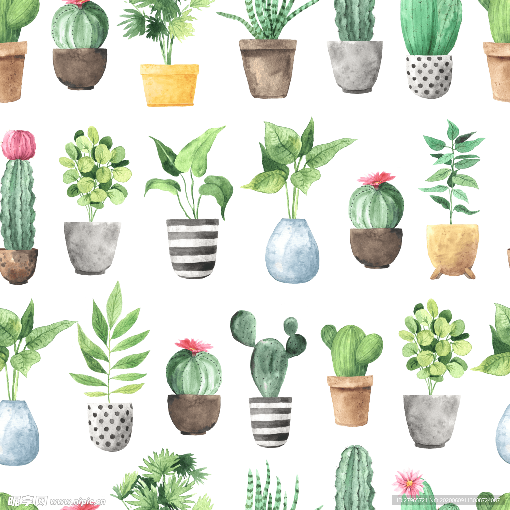 绿色家庭植物