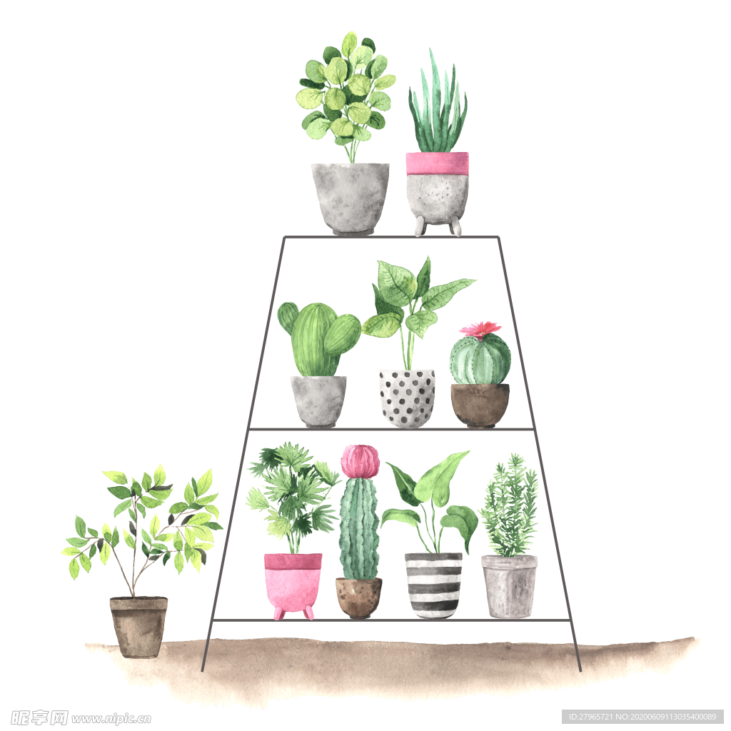绿色家庭植物