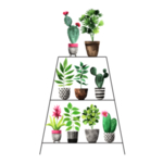 绿色家庭植物