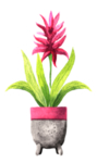 绿色家庭植物
