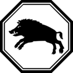 野猪 免抠  透明