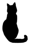 猫 宠物猫 宠物 小猫 猫咪