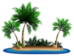 夏日沙滩