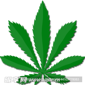 小清新植物