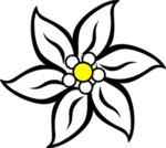 花瓣 花朵 粉色 紫色 桃花