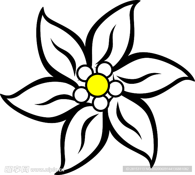 花瓣 花朵 粉色 紫色 桃花