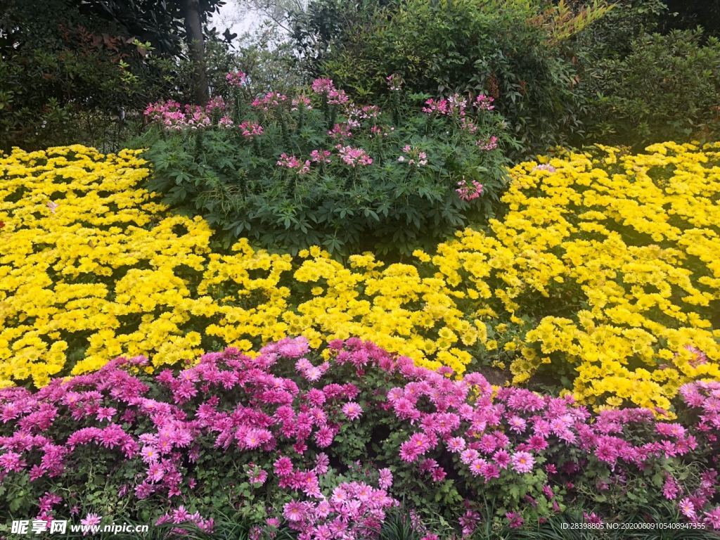 花