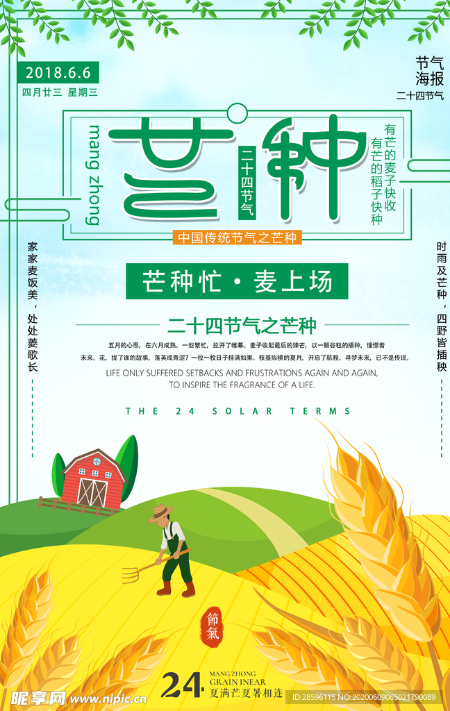 芒种海报