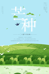 芒种海报
