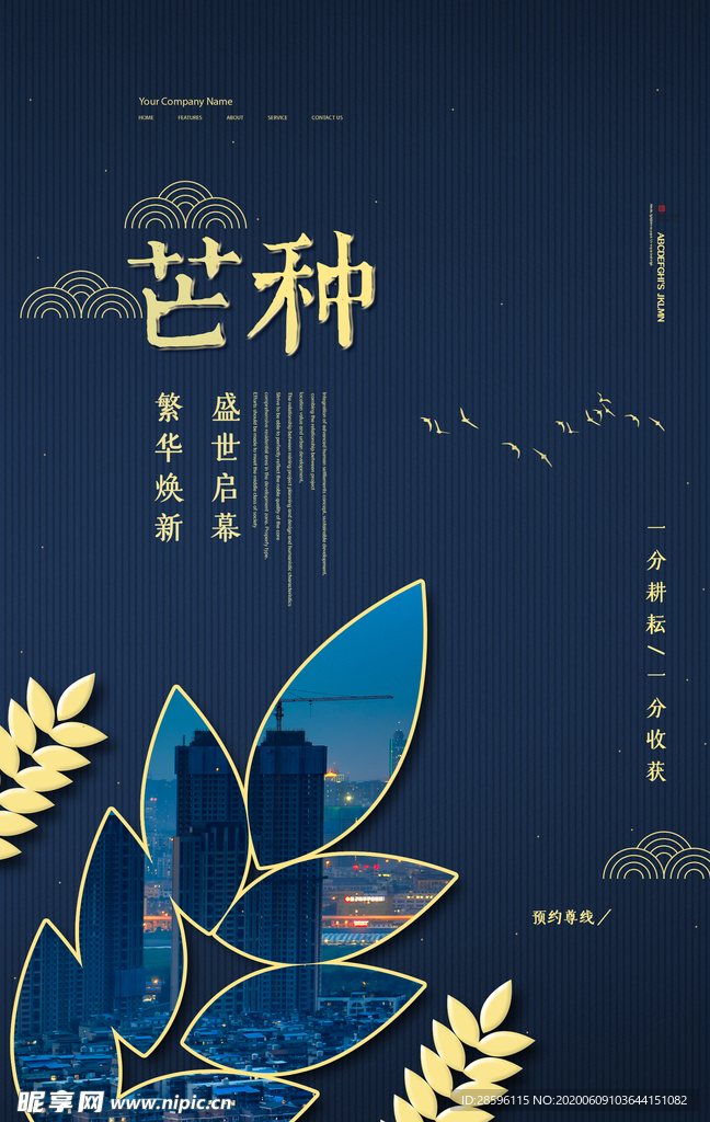 芒种海报