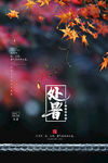 极简大气处暑传统节气海报