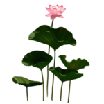 荷花荷叶插画卡通古风夏季素材