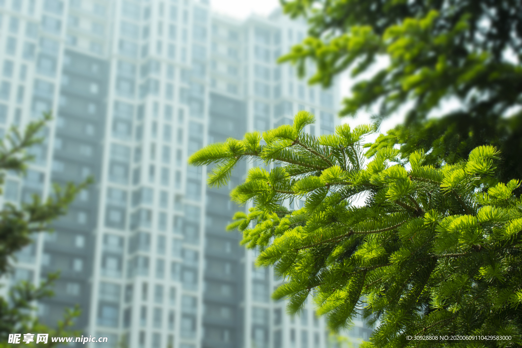 高楼绿树高清摄影图背景