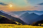 山