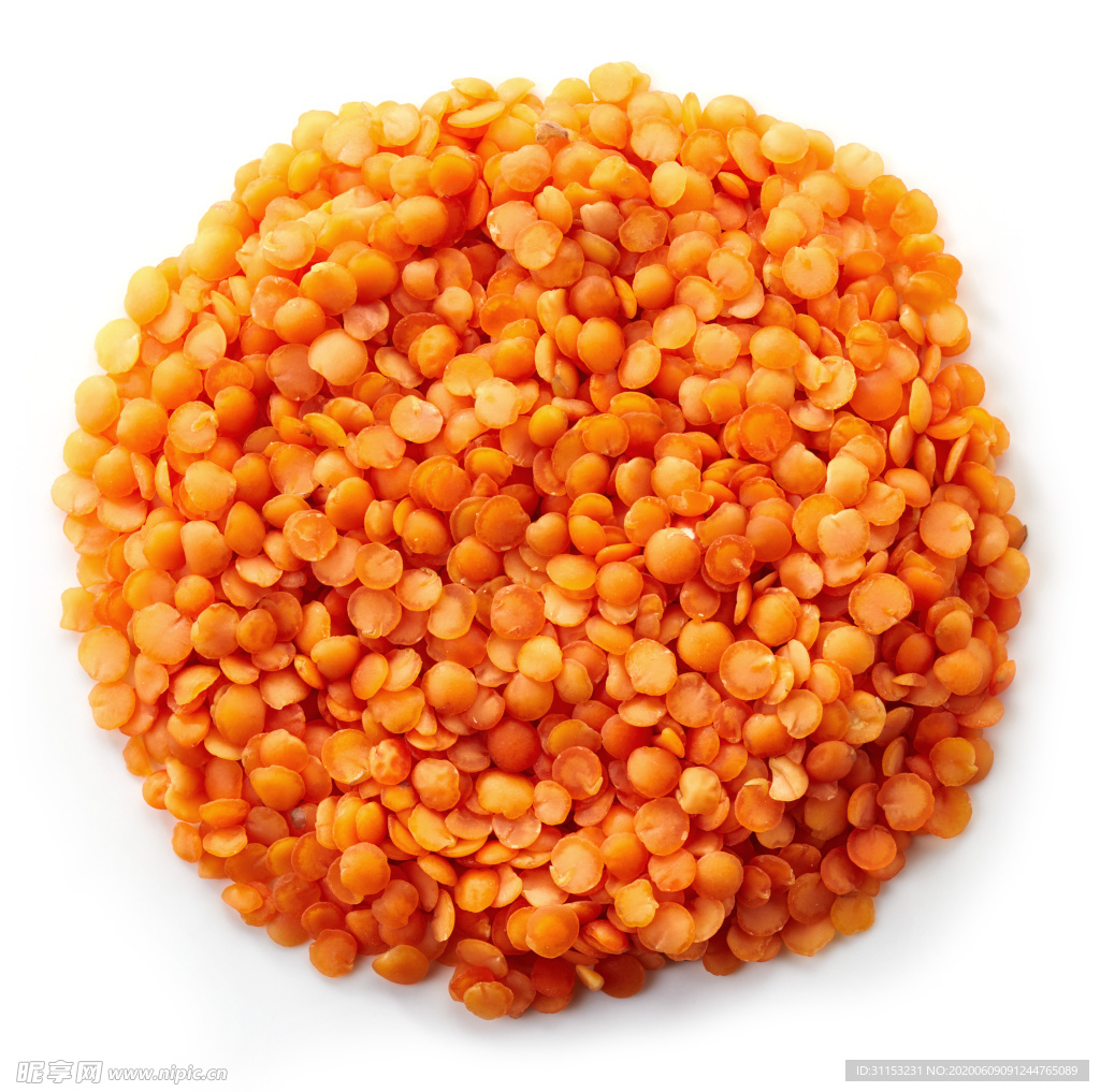 豆子