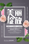 美丽绽放