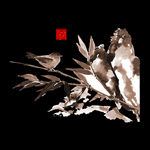 竹子 竹林 绿色 竹叶 风景