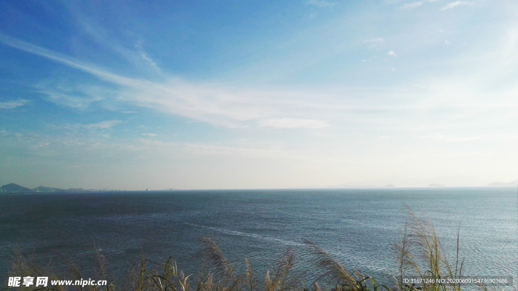 大海