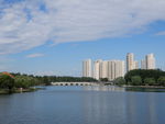 公园风景
