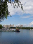 公园风景