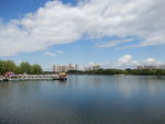 公园风景