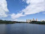 公园风景