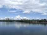 公园风景