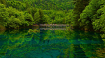 山水树木背景