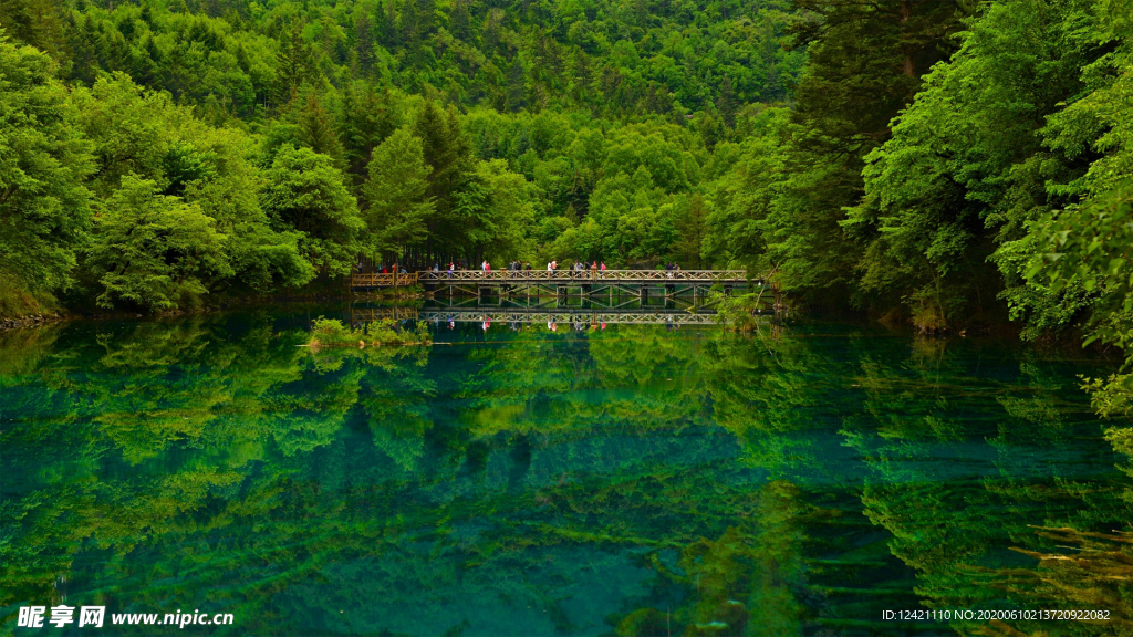 山水树木背景