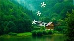 绿色背景