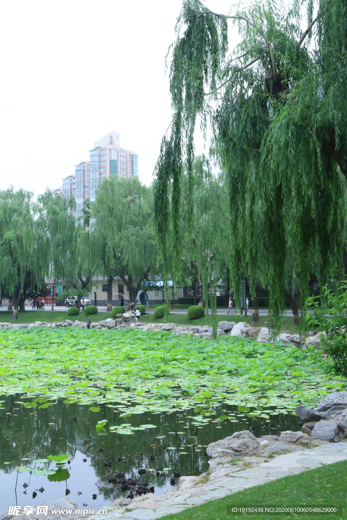 龙潭湖风景