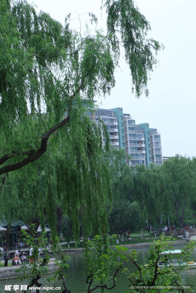 龙潭湖风景