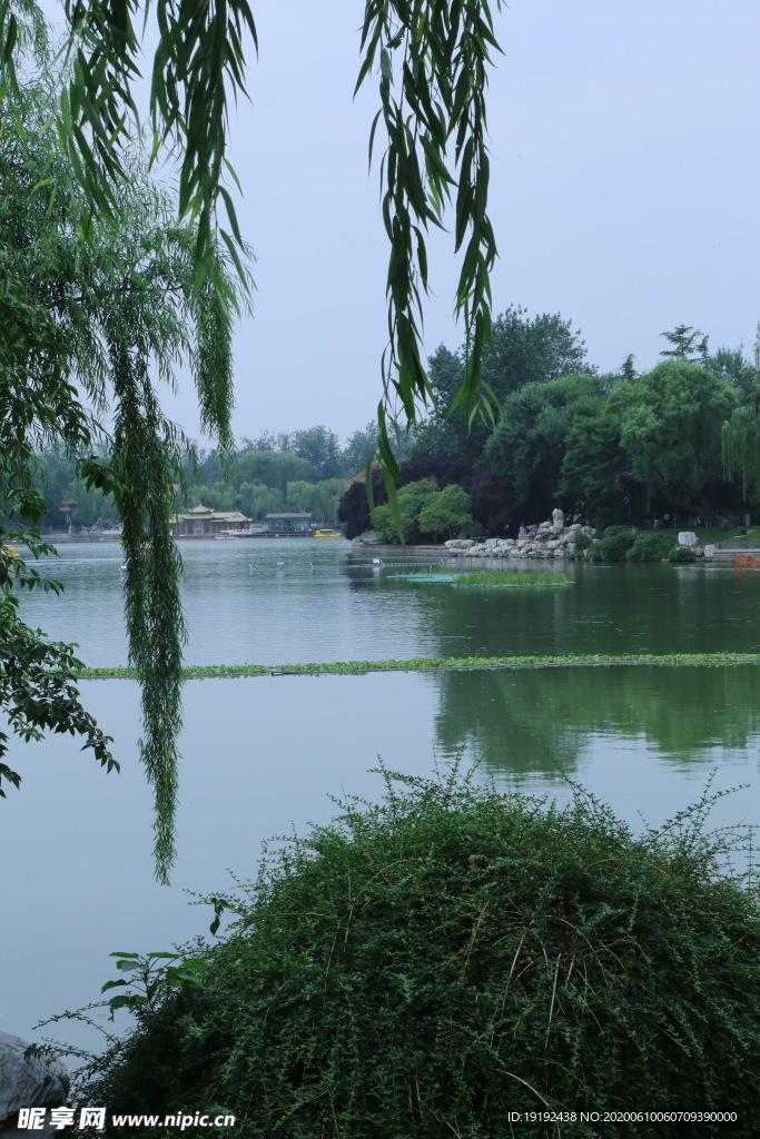 龙潭湖风景