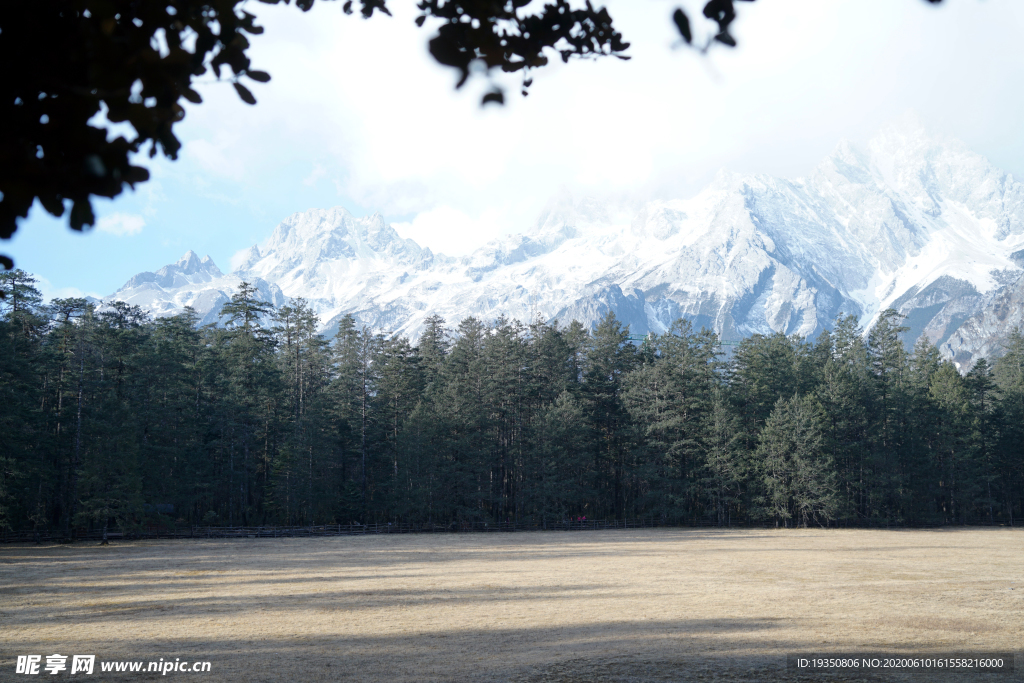 玉龙雪山云杉坪的景色