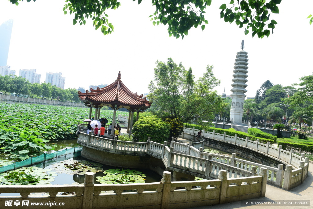 福建南普陀寺荷塘风景