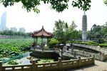 福建南普陀寺荷塘风景