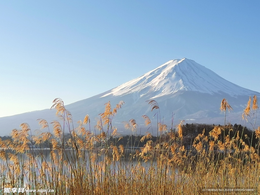 富士山