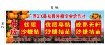 沙糖桔海报