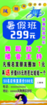 舞蹈艺术展架绿