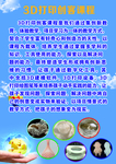 3D打印创客课程