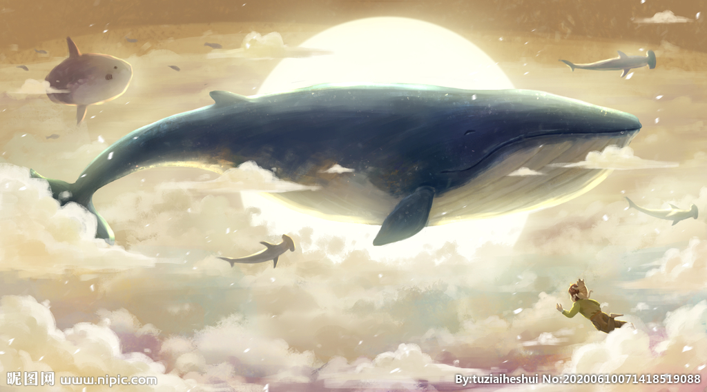 鲸鱼云朵云层天空梦幻插画卡通