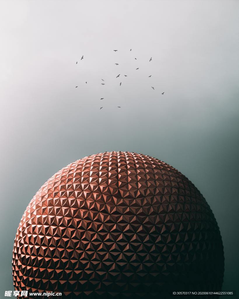 鸟