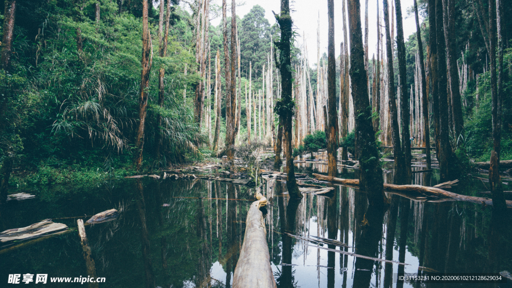 风景